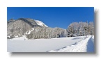 26.1.2012 Winterbilder